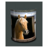 Décoration Luminaire Animaux Applique murale box cheval -NOA1506APP