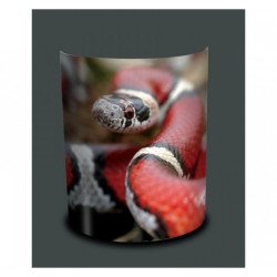 Décoration Luminaire Animaux Applique murale animaux sauvages serpent -AS1207APP