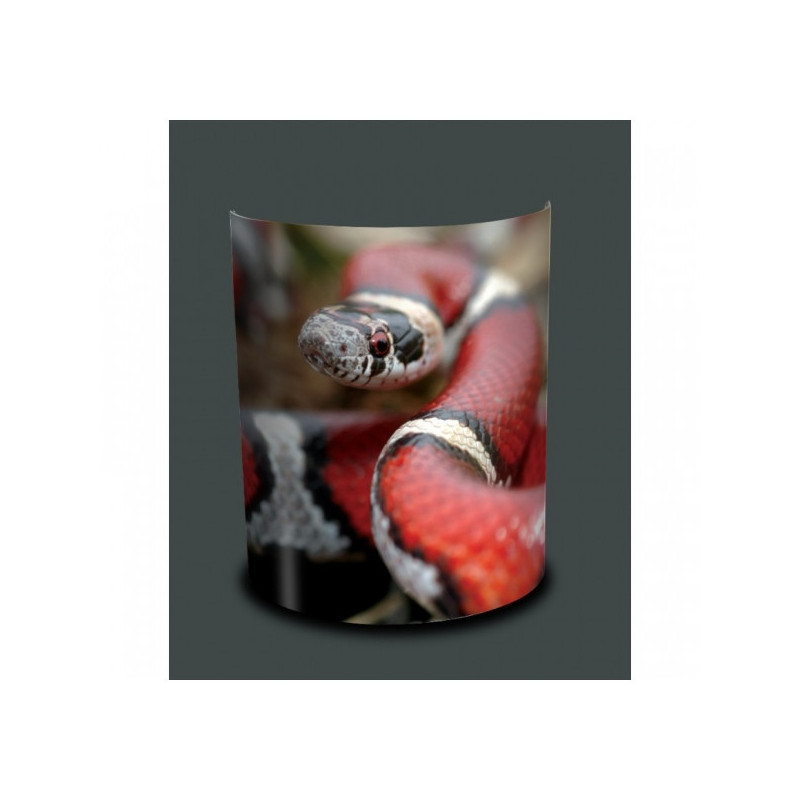 Décoration Luminaire Animaux Applique murale animaux sauvages serpent -AS1207APP
