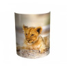 Décoration Luminaire Animaux Applique murale animaux sauvages lionceau -AS1201APP