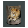 Décoration Luminaire Animaux Applique murale animaux sauvages lion -AS1203APP