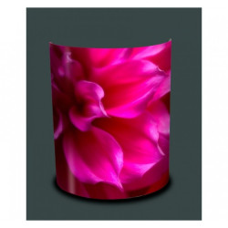 Décoration Luminaire Animaux Applique murale nature pivoines roses -NA1545APP