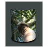 Décoration Luminaire Animaux Applique murale nature palmier -NA1337APP