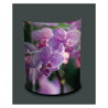 Décoration Luminaire Animaux Applique murale nature orchidée violette -NA1338APP