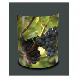 Décoration Luminaire Animaux Applique murale nature raisin -NA1444APP