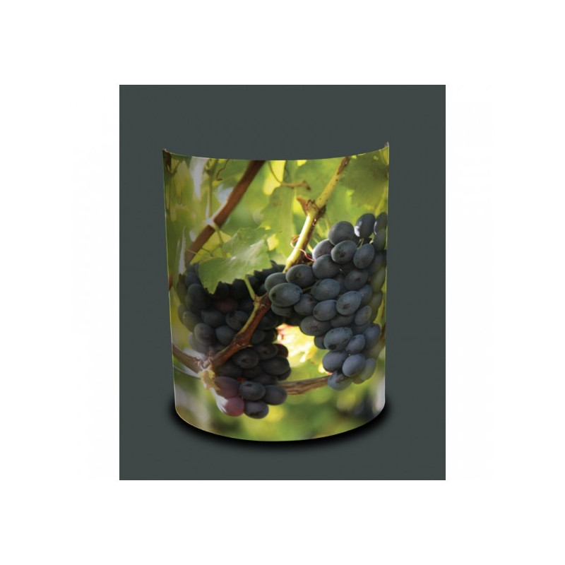 Décoration Luminaire Animaux Applique murale nature raisin -NA1444APP