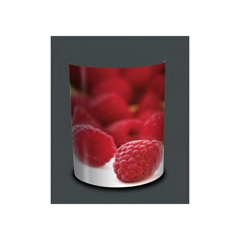 Décoration Luminaire Animaux Applique murale nature framboises -NA1218APP