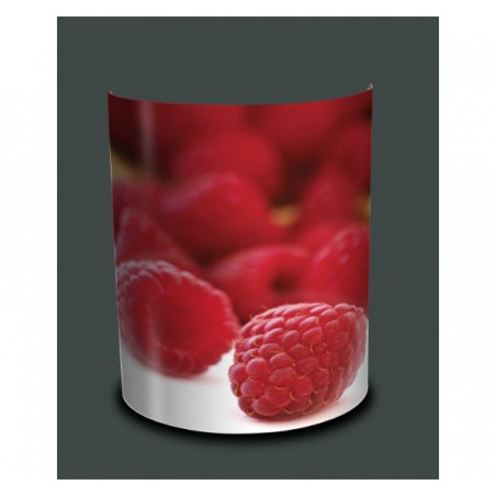 Décoration Luminaire Animaux Applique murale nature framboises -NA1218APP