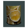 Décoration Luminaire Animaux Applique murale nature citron -NA1442APP