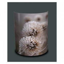 Décoration Luminaire Animaux Applique murale nature chardons givrés -NA1203APP