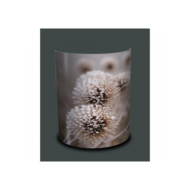 Décoration Luminaire Animaux Applique murale nature chardons givrés -NA1203APP