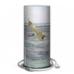 Décoration Luminaire Animaux Lampe collection marine sterne -MA1653