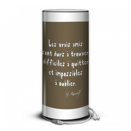 Décoration Luminaire Animaux Lampe collection color citation amis -CO1610