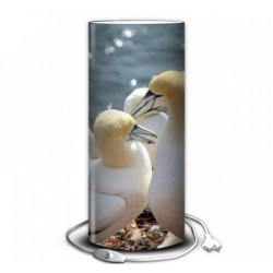 Décoration Luminaire Animaux Lampe oiseaux fous australes -OI1358