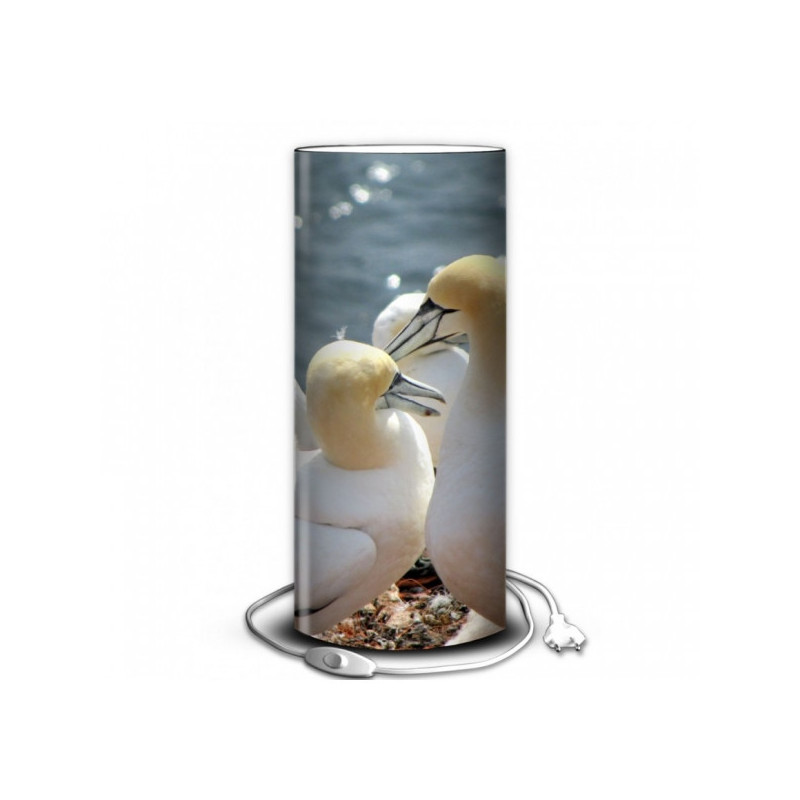 Décoration Luminaire Animaux Lampe oiseaux fous australes -OI1358