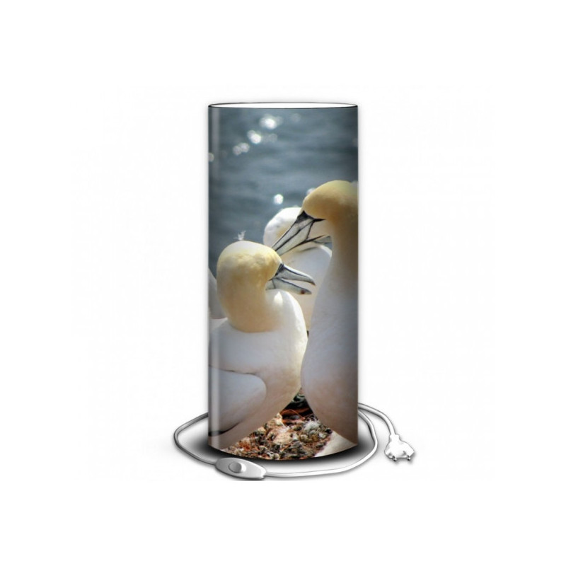 Lampe oiseaux fous australes -OI1358