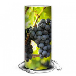 Décoration Luminaire Animaux Lampe nature raisin -NA1444
