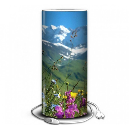 Décoration Luminaire Animaux Lampe montagne été -MO1519