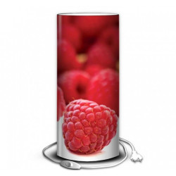 Décoration Luminaire Animaux Lampe nature framboise -NA1218