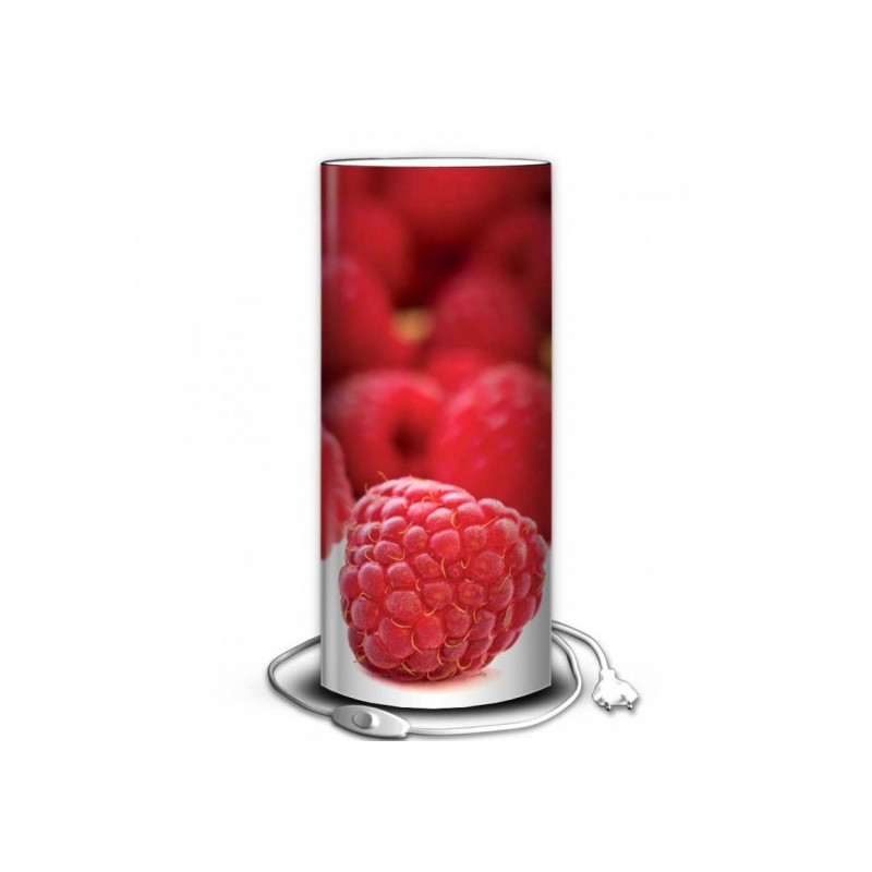 Décoration Luminaire Animaux Lampe nature framboise -NA1218