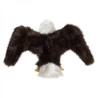 Décoration OiseauxPeluche petit aigle marionnette  Folkmanis