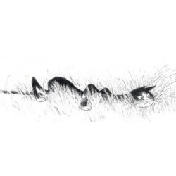 Animaux-Bois-Animaux-Bronzes.com propose Chat la chasse Albert Dubout -DUB79 (2)
