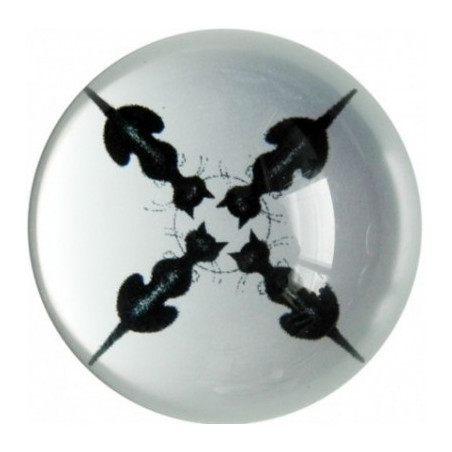 Animaux-Bois-Animaux-Bronzes.com propose Chat Dubout paperweight le quartet -PDUB01