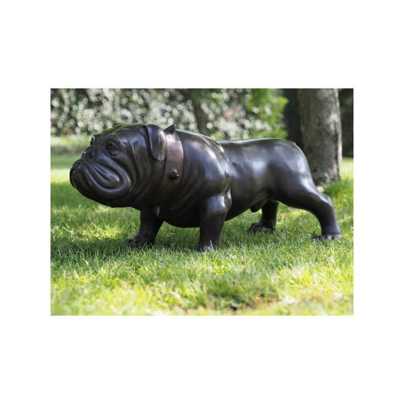 Statue bronze chien bouledogue -B97078