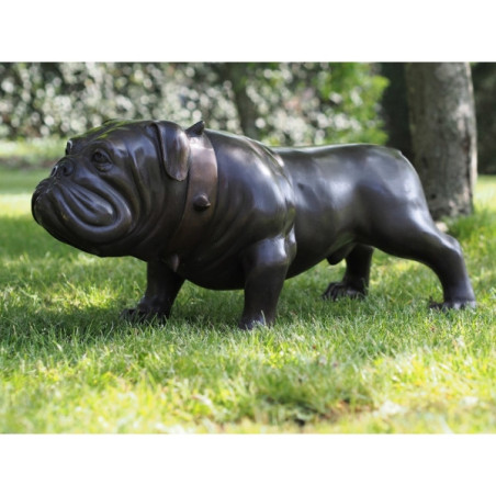 Statue bronze chien bouledogue -B97078