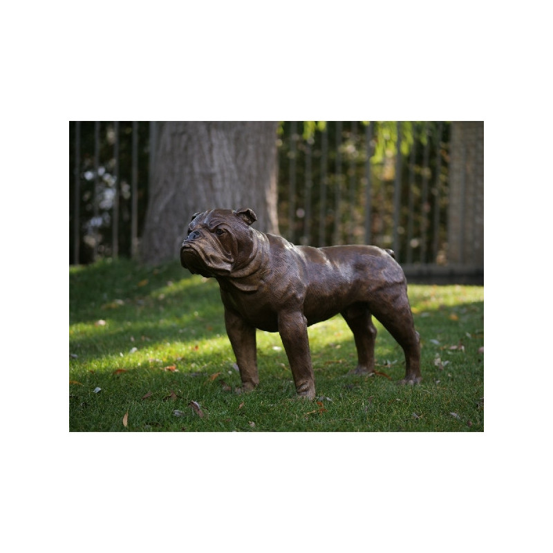 Statue bronze chien bulldog anglais -B28773