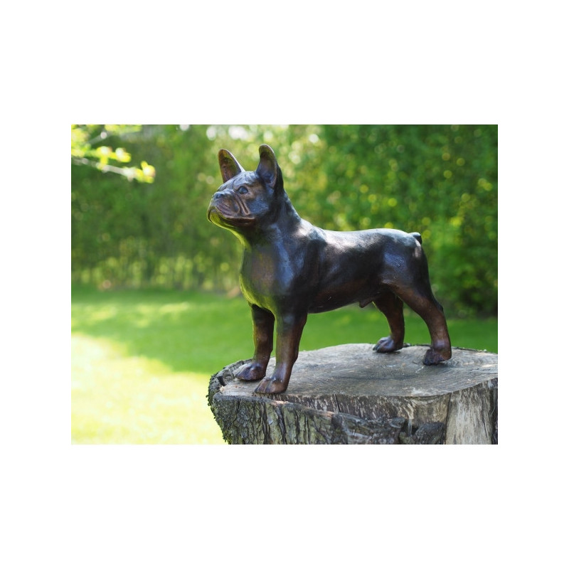 Statue bronze chien bulldog -B94566