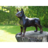 Statue bronze chien bulldog -B94566