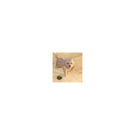 Animaux-Bois-Animaux-Bronzes propose Chien Cairn figurine animaux LP11209