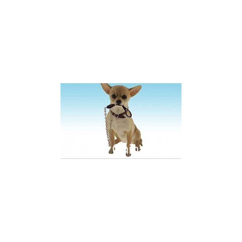 Chien Chihuahua assis moyen modèle LP14966