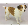 Chien Jack Russel LP11711