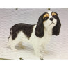 Chien King Charles Grand modèle LP8902