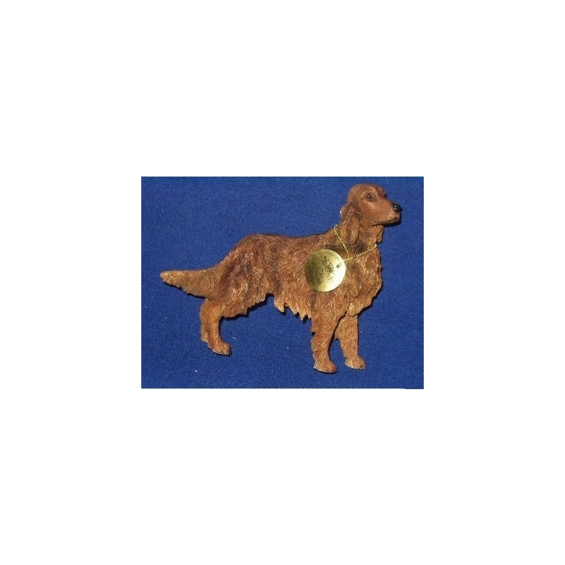 Chien Setter irlandais LP14181