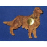 Chien Setter irlandais LP14181