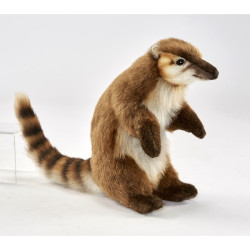 Animaux de la forêt Coati 27cmh peluche animalière -5888