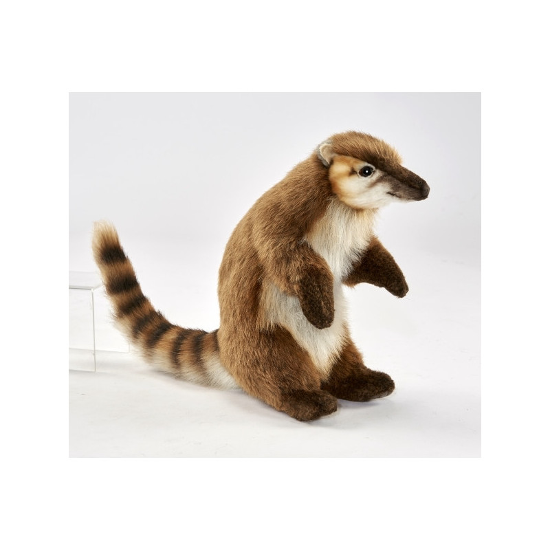 Animaux de la forêt Coati 27cmh peluche animalière -5888