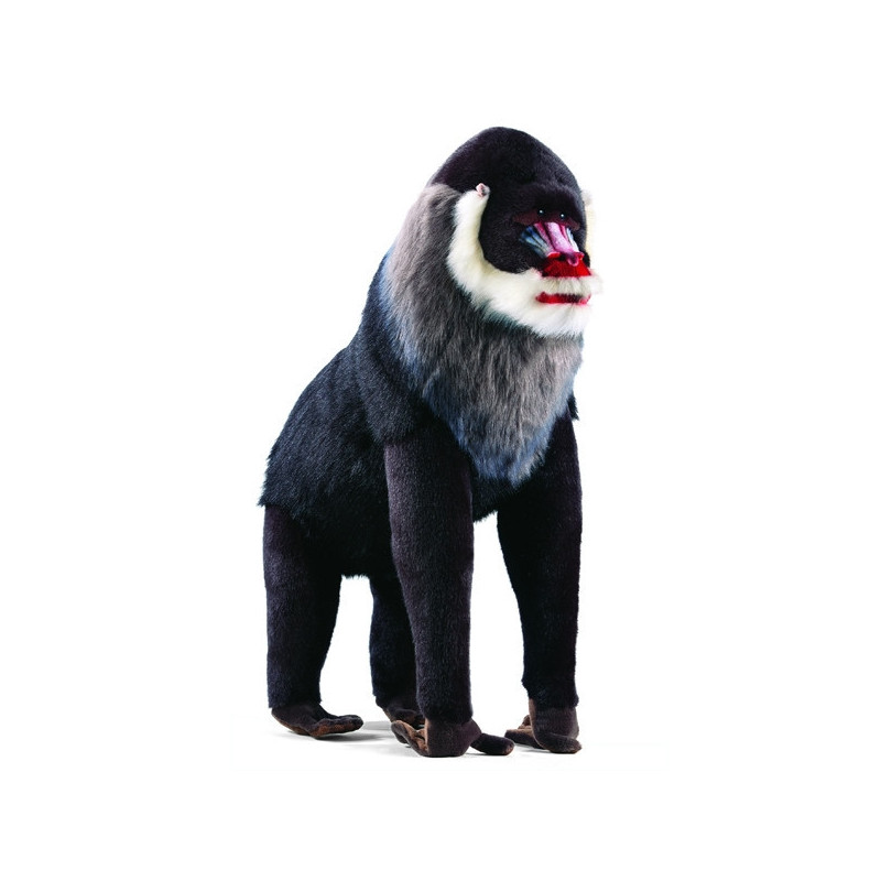 Anima - Peluche mandrill 50 cm -3577