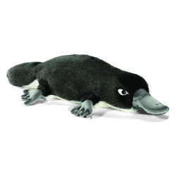 Animaux marins Ornithorynque 40 cm peluche animalière -3664
