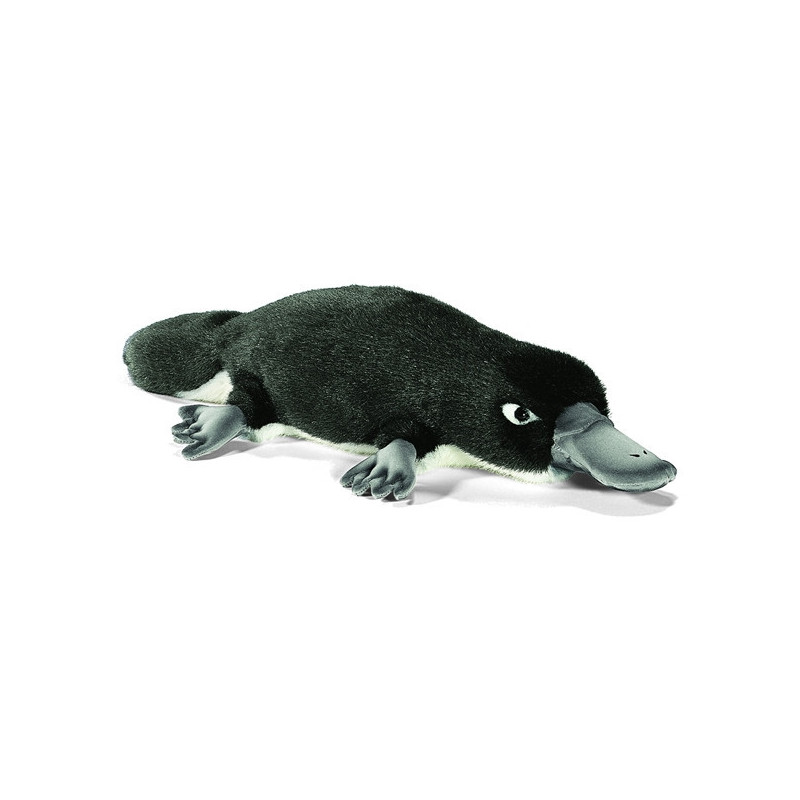 Animaux marins Ornithorynque 40 cm peluche animalière -3664