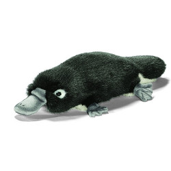 Animaux marins Ornithorynque 28 cm peluche animalière -3665