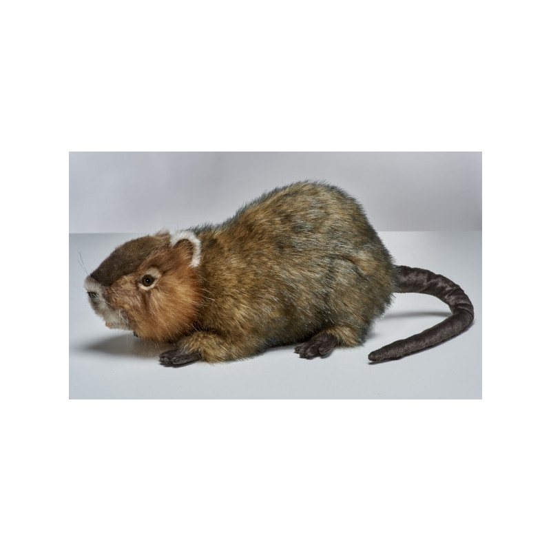 Animaux de la forêt Ragondin 55cml peluche animalière -7166