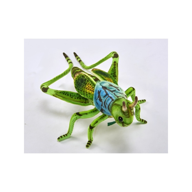 Animaux de la forêt Sauterelle verte 35cml peluche animalière -6879