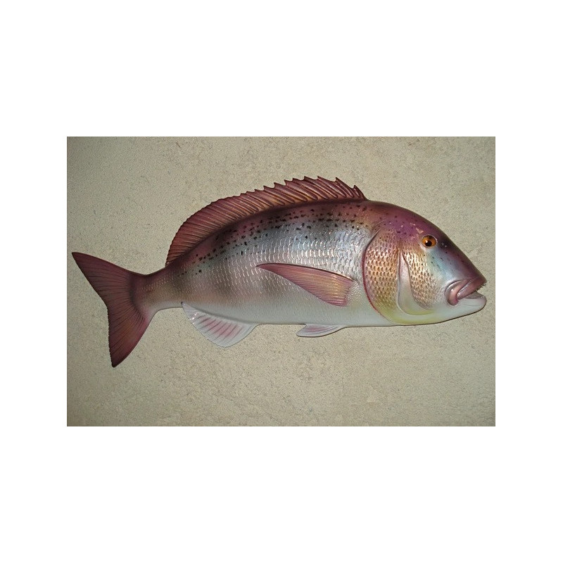 Animaux-Bois-Animaux-Bronzes propose Sculpture murale Denti -SM53