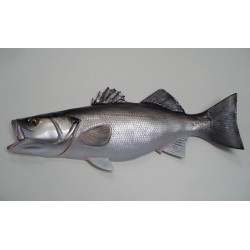Animaux-Bois-Animaux-Bronzes propose Sculpture murale poisson de mer bar (loup) -SM-BAR53
