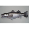 Animaux-Bois-Animaux-Bronzes propose Sculpture murale poisson de mer bar (loup) -SM-BAR53