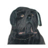 Animaux-Bois-Animaux-Bronzes propose Chien neapolitan mastiff 90 cm assis peluche réaliste Piutre 1296